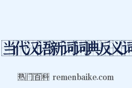 当代汉语新词词典反义词是什么意思的图片